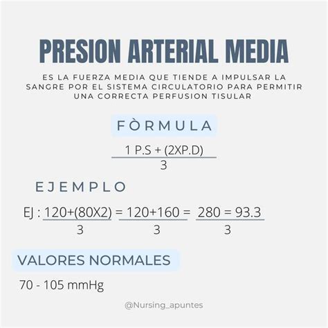 presion arterial media